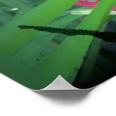 Oerwoud van de geest poster (Hoek)