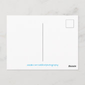 Oerwoud van regenwoud Waterval Briefkaart (Achterkant)