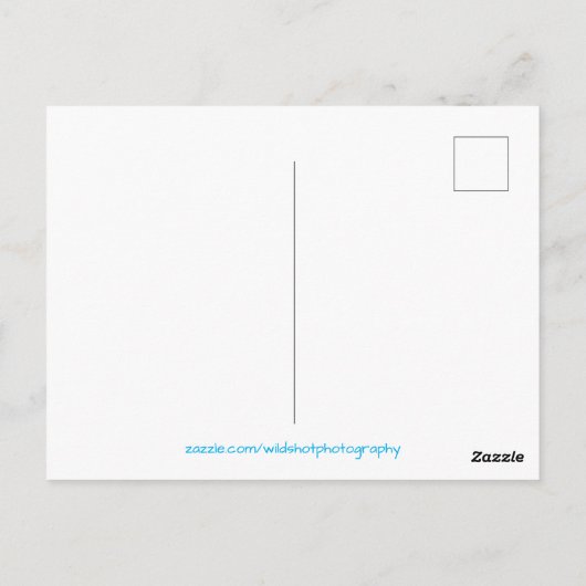 Oerwoud van regenwoud Waterval Briefkaart (Achterkant)