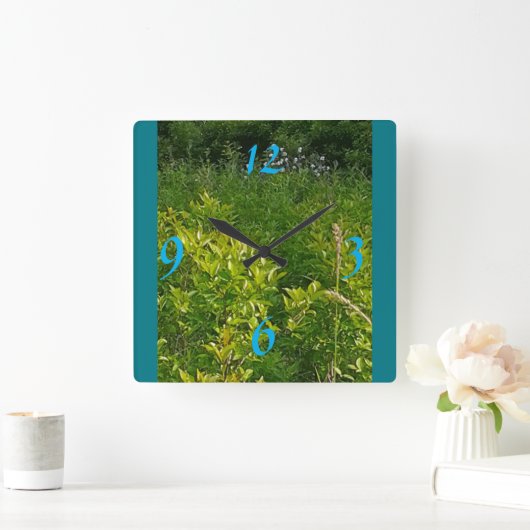 Oerwoud Vierkante Klok (Huis)