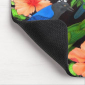 Oerwoud vogels van Mexico Muismat (Hoek)