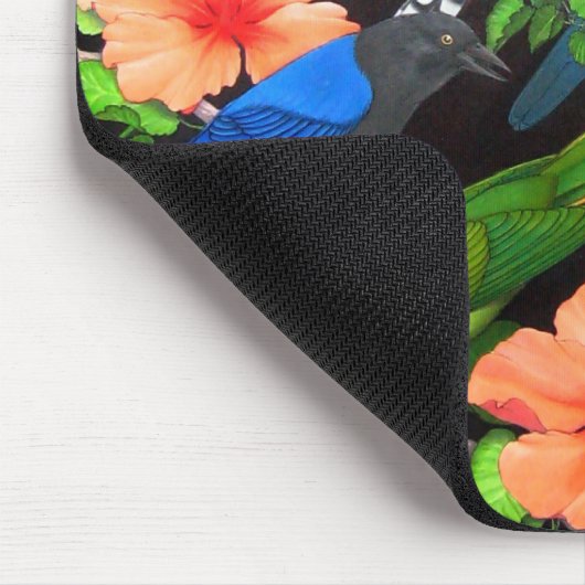 Oerwoud vogels van Mexico Muismat (Hoek)