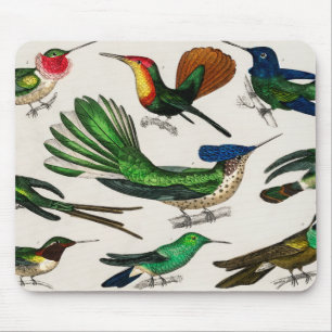 Oerwoud vogels voor kinderdagverblijf muismat