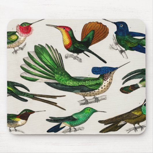 Oerwoud vogels voor kinderdagverblijf muismat (Voorkant)