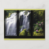 Oerwoud Waterfall Triptych Digital Art Briefkaart (Voorkant)