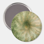 Oerwoud wiel.... magneet (Voorkant / Achterkant)