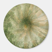 Oerwoud wiel.... magneet (Voorkant)