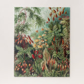 Oerwoud Wilderness Puzzle Legpuzzel (Verticaal)