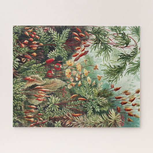 Oerwoud Wilderness Puzzle Legpuzzel (Horizontaal)