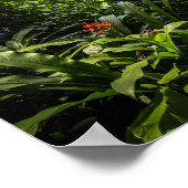 Oerwouden luifel met ritslijn poster (Hoek)