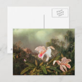 Oerwouden orchideeën en kolibries, 1872 briefkaart (Voorkant / Achterkant)