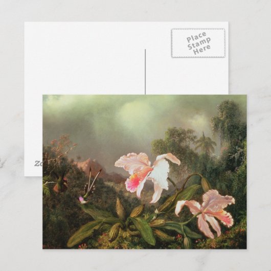 Oerwouden orchideeën en kolibries, 1872 briefkaart (Voorkant / Achterkant)