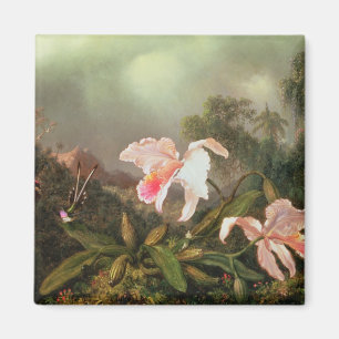 Oerwouden orchideeën en kolibries, 1872 magneet