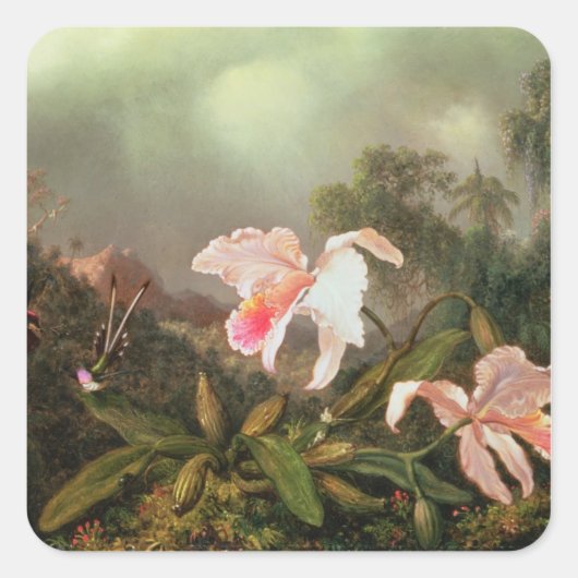 Oerwouden orchideeën en kolibries, 1872 vierkante sticker (Voorkant)