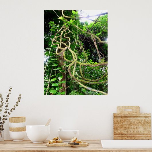 Oerwouden Poster (Keuken)