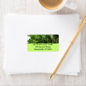 Oerwouden touwen regenwoud fotografie etiket (Insitu)