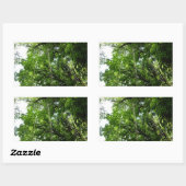 Oerwouden touwen regenwoud fotografie rechthoekige sticker (Vel)