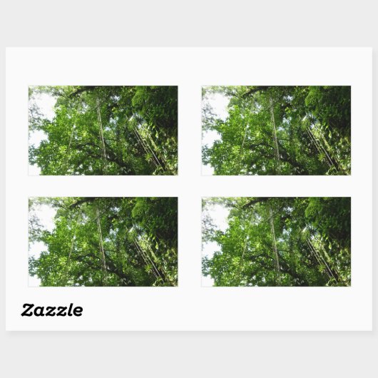 Oerwouden touwen regenwoud fotografie rechthoekige sticker (Vel)