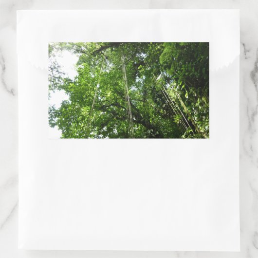 Oerwouden touwen regenwoud fotografie rechthoekige sticker (Tas)
