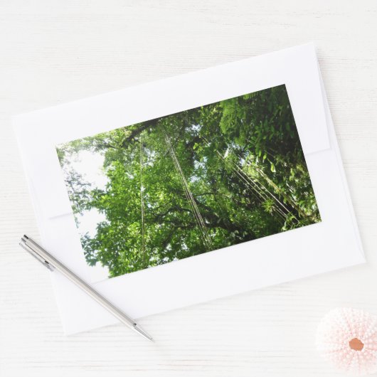 Oerwouden touwen regenwoud fotografie rechthoekige sticker (Envelop)