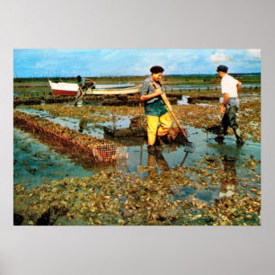 Oester in Frankrijk Poster