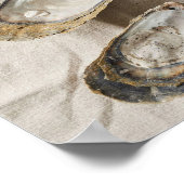 Oester Schelp Kust Studie Poster (Hoek)