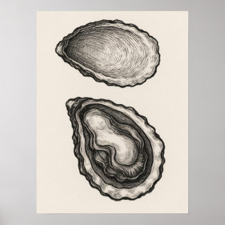 Oester Schelp Minimalistische Kust Schets Kunst Po Poster