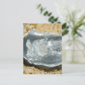 Oester Shell in het zand Briefkaart (Staand voorkant)