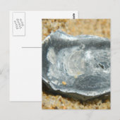 Oester Shell in het zand Briefkaart (Voorkant / Achterkant)