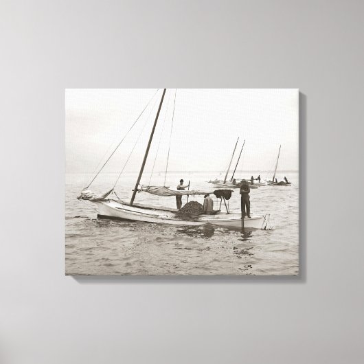 Oesterboten, 1903 canvas afdruk (Voorkant)