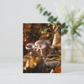 Oesterpaddenstoel Briefkaart (Staand voorkant)