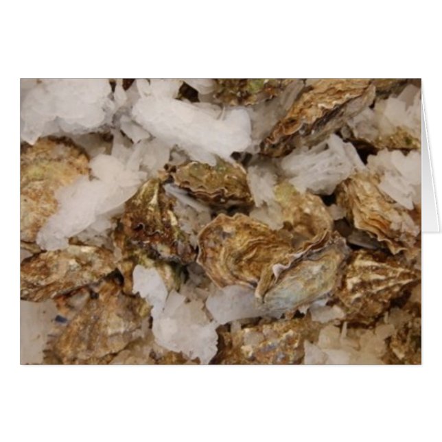 oesters (Voorkant Horizontaal)
