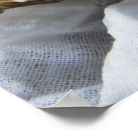 Oesters op ijs poster (Hoek)
