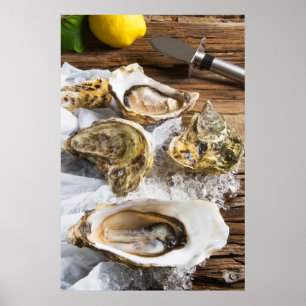 Oesters op ijs poster