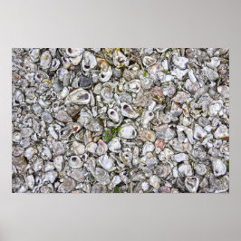 Oesterschelpen, Apalachicola, Florida Poster