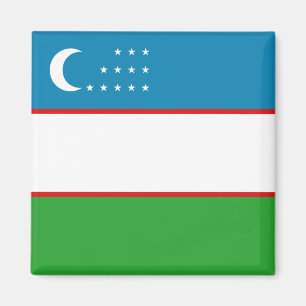Oezbeekse vlag Magnet