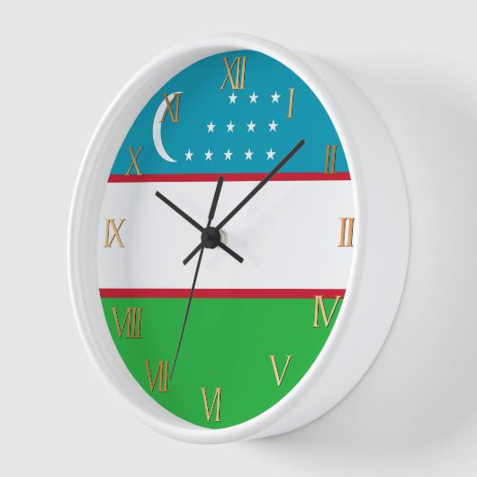 Oezbekistan vlag (Hoek)