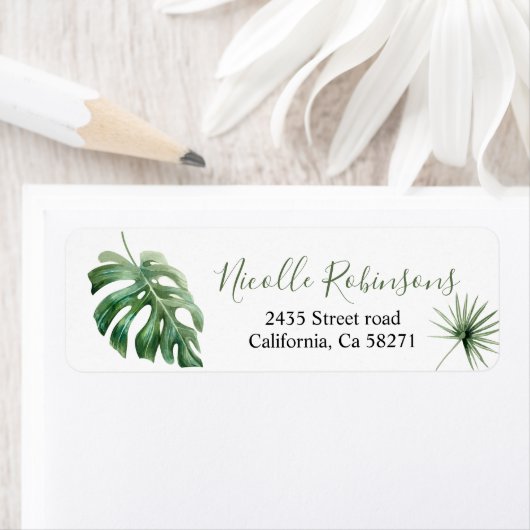 of Direction Monstera tropical Etiket (Insitu)