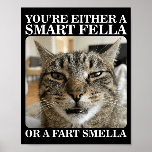 Of een slimme vent of een scheet ruikende grappige poster (Voorkant)