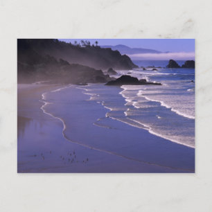 OF, Oregon kust, Ecola SP, Indian Beach met Briefkaart