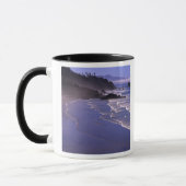 OF, Oregon kust, Ecola SP, Indian Beach met Mok (Links)