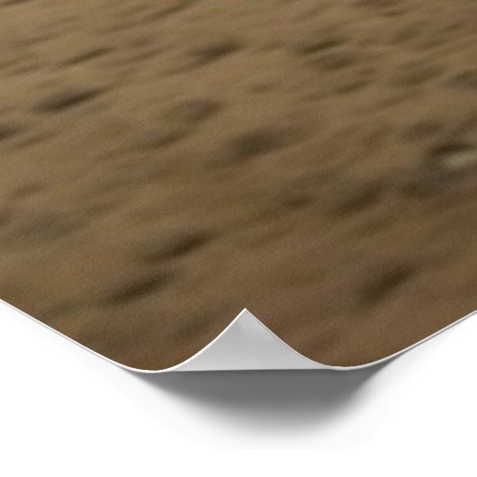 Off Road Warrior 4 Poster (Hoek)