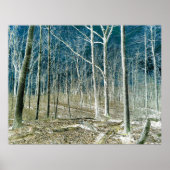 Off the Path version 1 Poster (Voorkant)