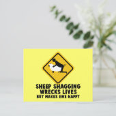 offensieve schapen briefkaart (Staand voorkant)