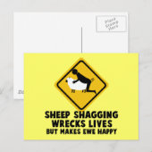 offensieve schapen briefkaart (Voorkant / Achterkant)