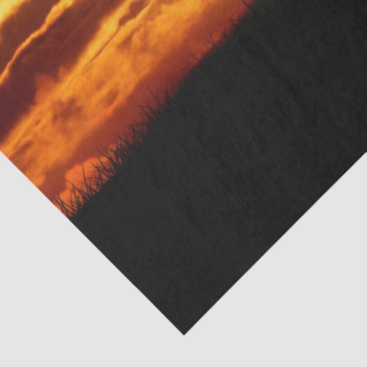 Offertepapier Tissuepapier (Detail)