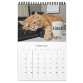 Office Fun Cats Calendar 2026 / Cat Photo Calendar Kalender (Jan 2026)