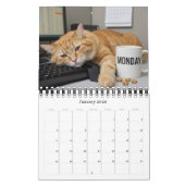 Office Fun Cats Photo Calendar 2026 / Business Cat Kalender (Jan 2026)