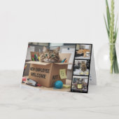 Office Fun Cats Photo Card, Birthday, Cat Kaart (Voorkant)