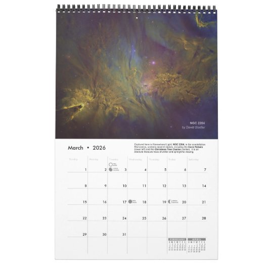 Official FWAS 2026 Member Wall Calendar - Medium Kalender (Mar 2026)
